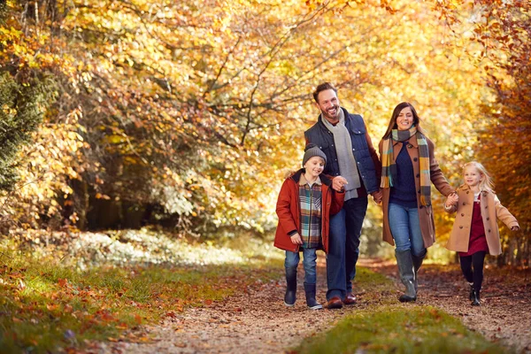 Famille Avec Des Parents Matures Deux Enfants Tenant Main Marchant — Photo