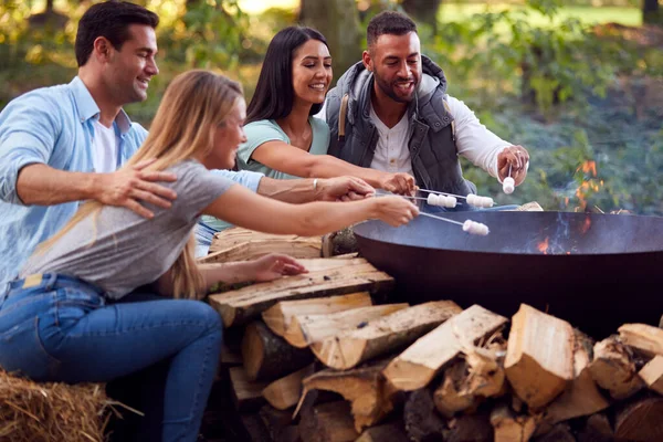 Group Friends Camping Sitting Fire Fire Bowl Toasting Marshmallows Together — Stock Photo, Image