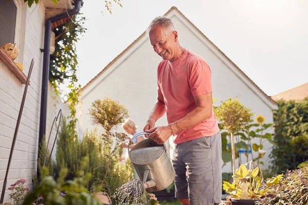 Gepensioneerd Paar Het Werk Besproeien Verzorgen Van Planten Tuin Thuis — Stockfoto