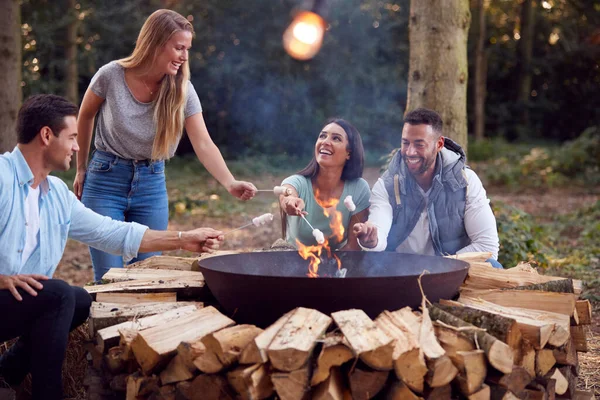 Grupp Vänner Camping Sitter Vid Eld Brand Skål Rostning Marshmallows — Stockfoto