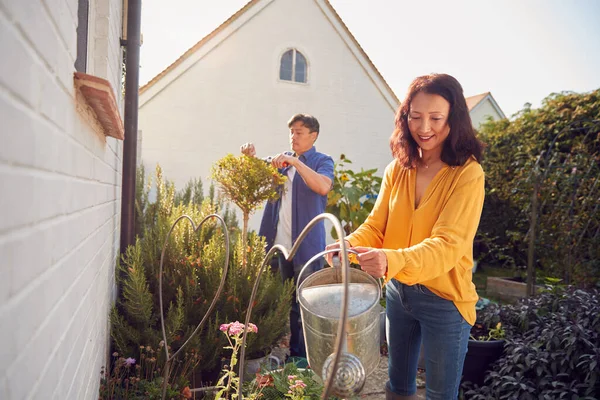 Volwassen Aziatisch Paar Het Werk Besproeien Tuinieren Planten Tuin Thuis — Stockfoto
