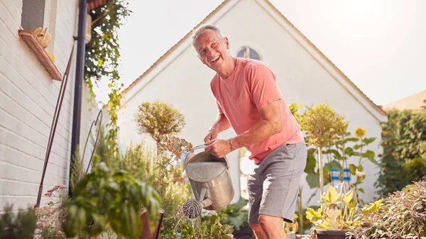 Pensionerat Par Jobbet Bevattning Och Skötsel Växter Trädgården Hemma — Stockfoto