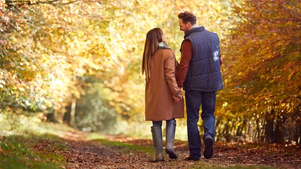 Rear View Loving Mature Couple Holding Hands Walking Track Autumn — Stock fotografie