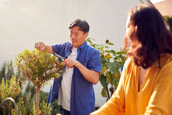亚洲夫妇在工作中的亲密接触与家庭花园中植物的修剪 — 图库照片