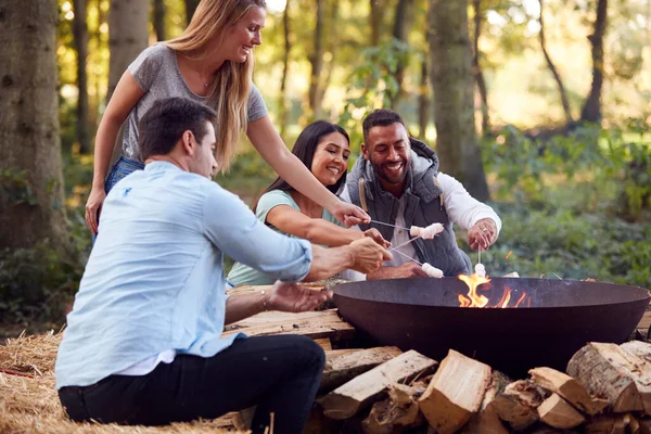 Gruppe Von Freunden Campt Feuer Und Toastet Marshmallows Zusammen — Stockfoto