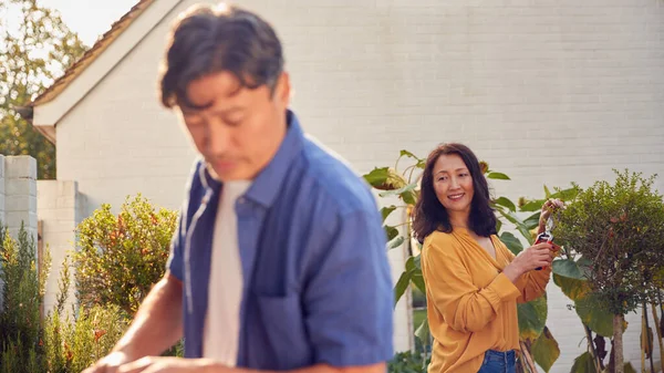 自宅で庭の植物のための仕事の散水とケアで成熟したアジアのカップルのクローズアップ — ストック写真