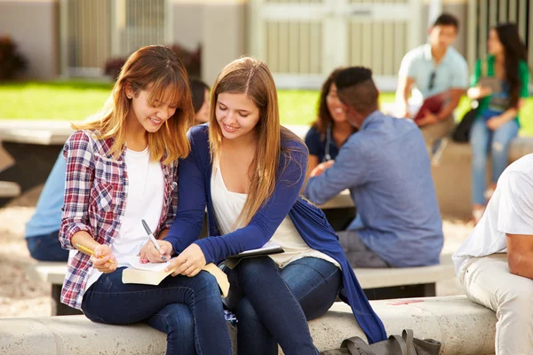 女学生在学校里工作 — 图库照片