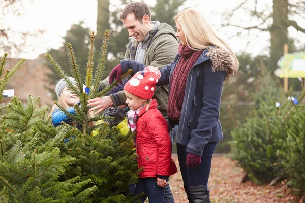 Famille choisissant arbre de Noël — Photo