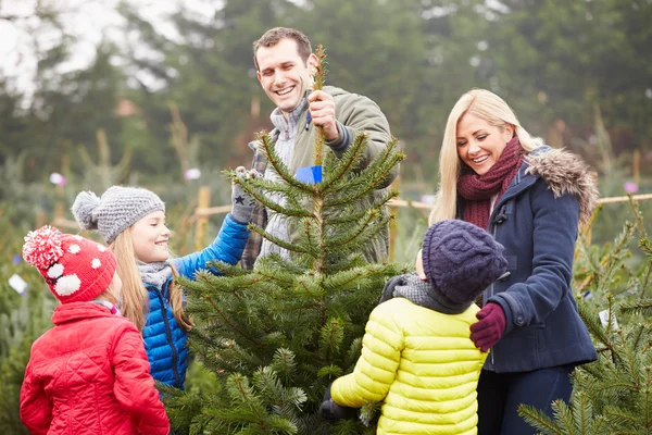 Familie kiezen kerstboom — Stockfoto