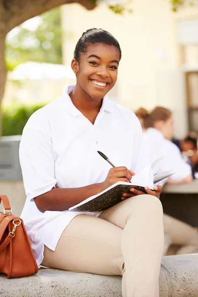 Vrouwelijke middelbare schoolstudent — Stockfoto