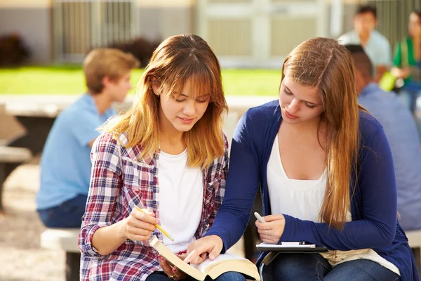 Female Students Working On Campus — Stock Photo, Image