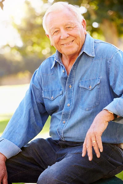 Outdoor Portrait Of Smiling Senior Man — Stock Photo, Image