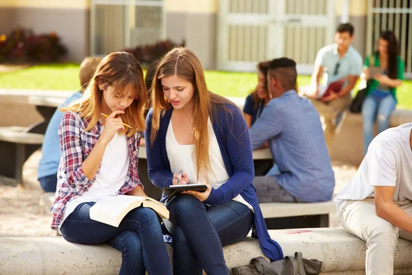 Étudiantes travaillant sur le campus — Photo