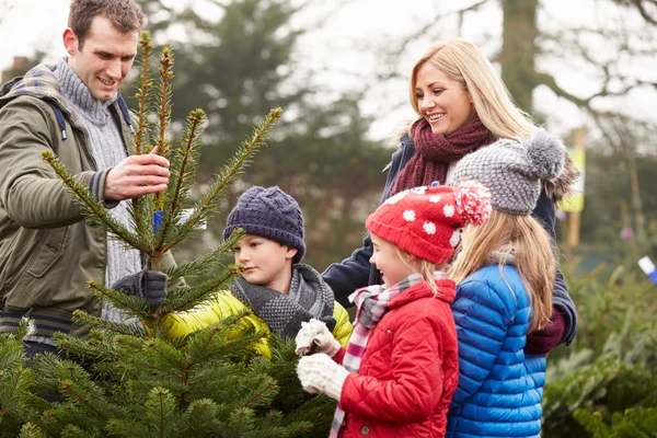 Família escolhendo árvore de Natal — Fotografia de Stock