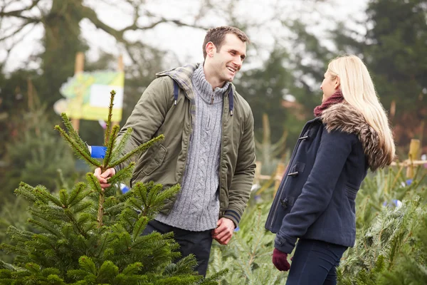 Пара выбирает рождественское дерево — стоковое фото