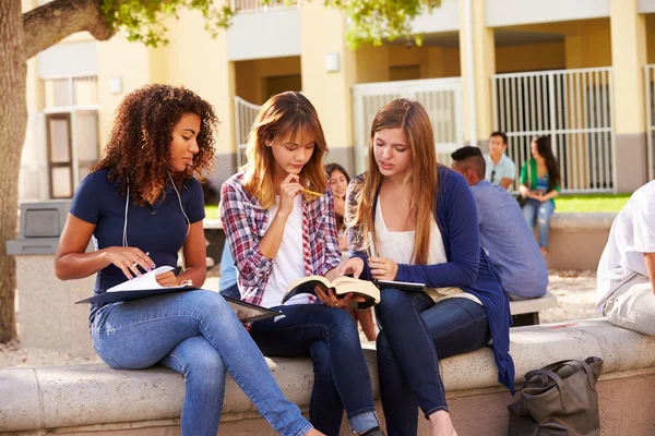 Étudiantes travaillant sur le campus — Photo