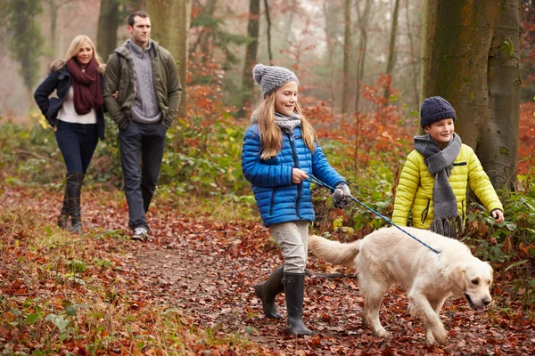 Familjen gå med hunden genom skogen — Stockfoto