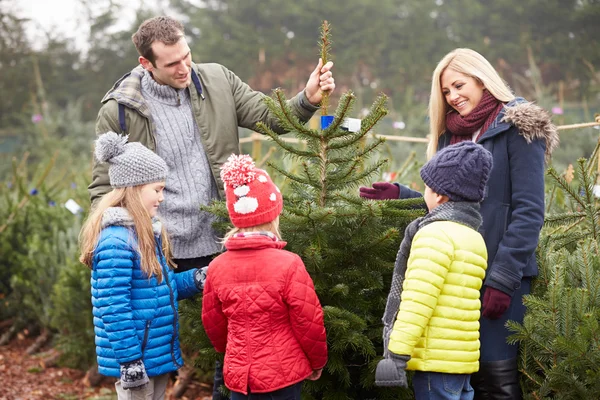 Familjen väljer julgran — Stockfoto