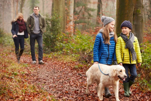 Família passear cão através da floresta de inverno — Fotografia de Stock