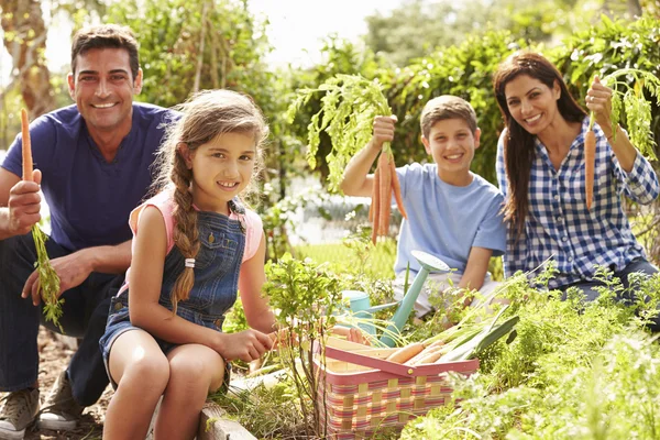 Familie werken op toewijzing — Stockfoto