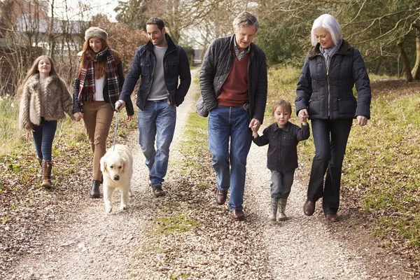 Família da multi geração na caminhada — Fotografia de Stock