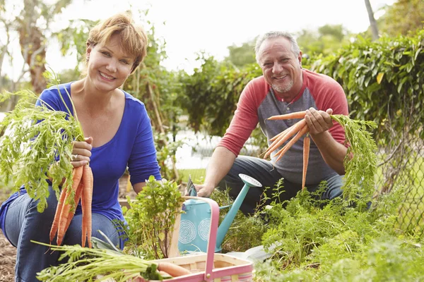 Senior paar werken op toewijzing — Stockfoto