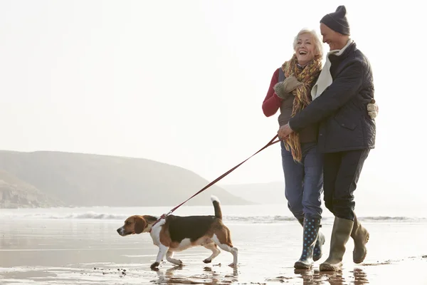 Senior paar wandelen met de hond — Stockfoto