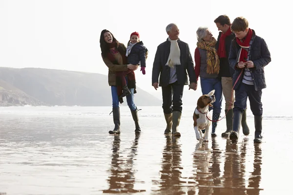 Familia multi generación — Foto de Stock