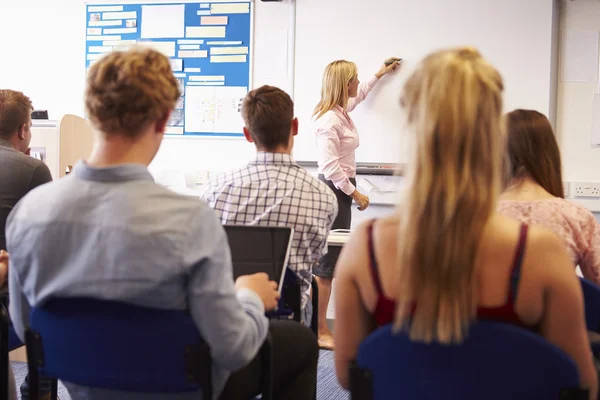 Teacher With College Students — Stock Photo, Image