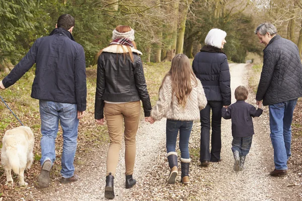 Çoklu nesil aile yürüyüş — Stok fotoğraf