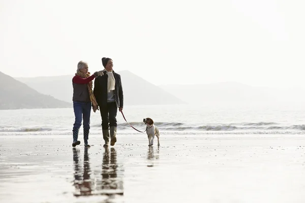 Couple sénior marchant avec chien — Photo