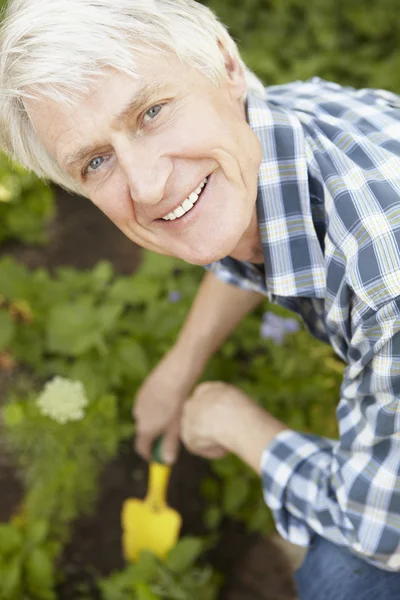 Giardinaggio dell'uomo — Foto Stock