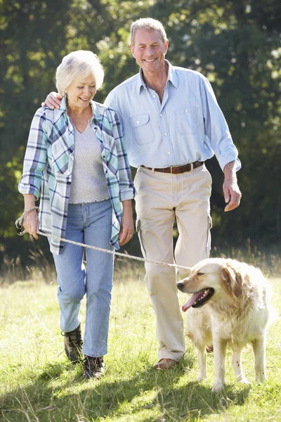 Senior couple walking dog — Stock Photo, Image