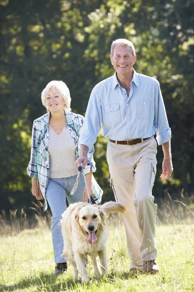 Senior couple walking dog — Stock Photo, Image