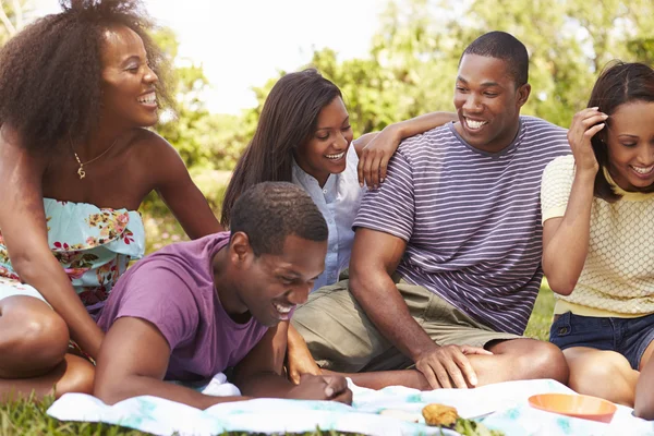 Jóvenes amigos haciendo picnic —  Fotos de Stock