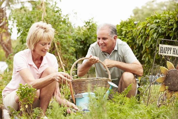 Senior paar werken — Stockfoto