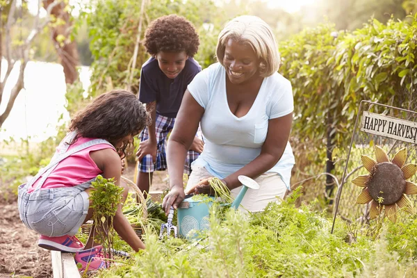 Grandmother And Grandchildren Working — Stock Photo, Image