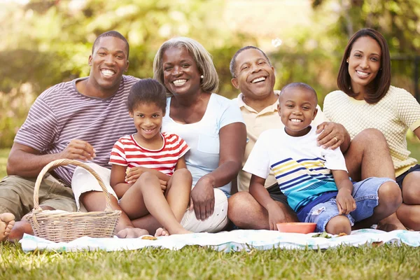 Mehrgenerationenfamilie genießt Picknick lizenzfreie Stockbilder