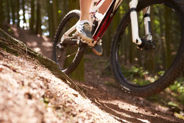 Man Riding Mountain Bike em Woods — Fotografia de Stock