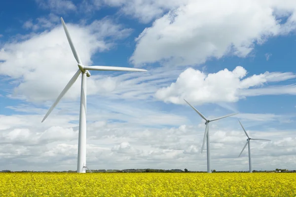 Groep van windturbines In veld — Stockfoto