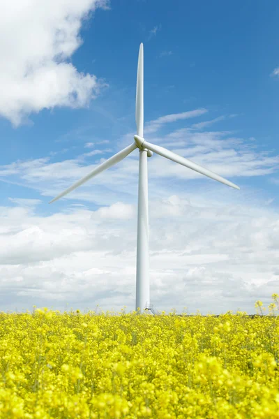 Вітрові турбіни в польових умовах — стокове фото