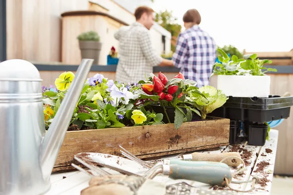 Pareja plantando jardín en la azotea — Foto de Stock