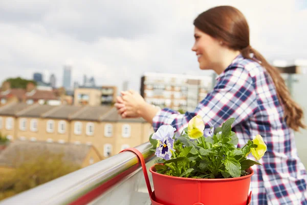 Frau entspannt sich im Dachgarten — Stockfoto