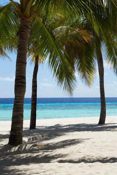 Spiaggia tropicale di Palm Beach alle Maldive — Foto Stock