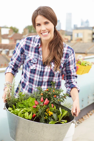 Mujer sosteniendo contenedor de plantas —  Fotos de Stock