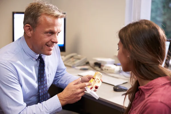 Doctor Showing Female Patient Model — Stock Photo, Image
