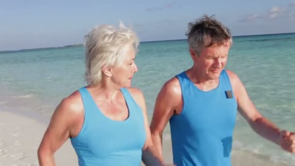 Coppia anziana mentre camminano lungo la bellissima spiaggia — Video Stock