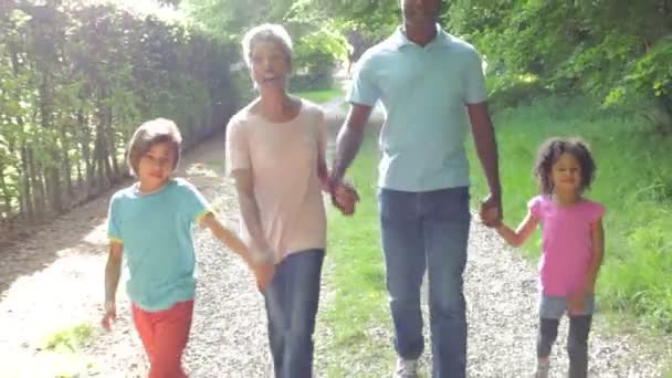 Grandparents With Grandchildren Walking — Stock Video