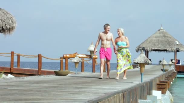 Пара пенсионеров, прогуливающихся по деревянной пристани — стоковое видео