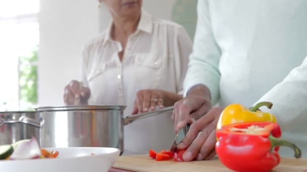 Senior indio pareja cocina comida — Vídeo de stock